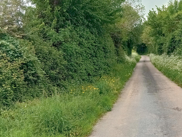 Guide de gestion des haies de bord de routes et chemin pour les communes de Gâtine